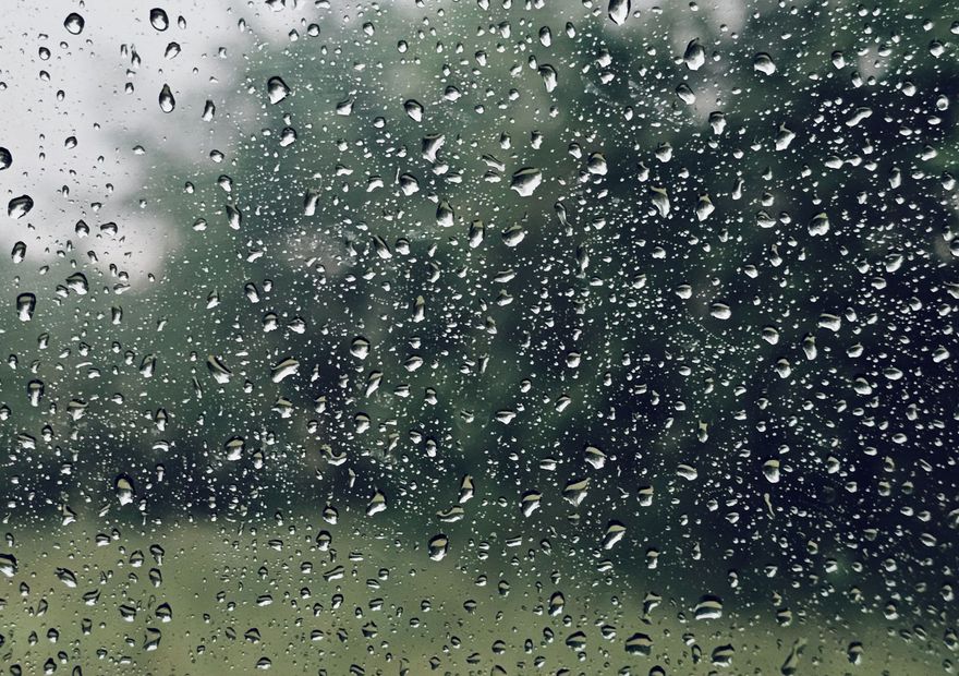 Raindrops on a window pane with green trees softened behind the glass